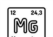Magnesium Nitrate Solution: The Best Fertilizer for Plant Health?