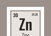 Previous Article