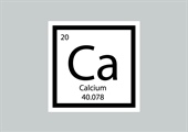 Introducing CAL-12 ® : Premium Liquid Calcium for the Southeast Grower