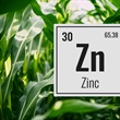 Boosting Plant Health with Zinc Nitrate Solution (7-0-0-17% Zn)