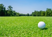 Substain-N® Triazone Nitrogen: A TradeMark Nitrogen Slow-Release Liquid Fertilizer for Superior Turf Performance