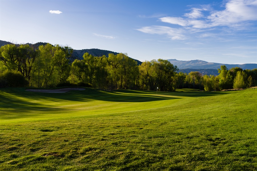 Achieve Lush, Vibrant Turf with Substain‑N® Triazone Nitrogen Fertilizer