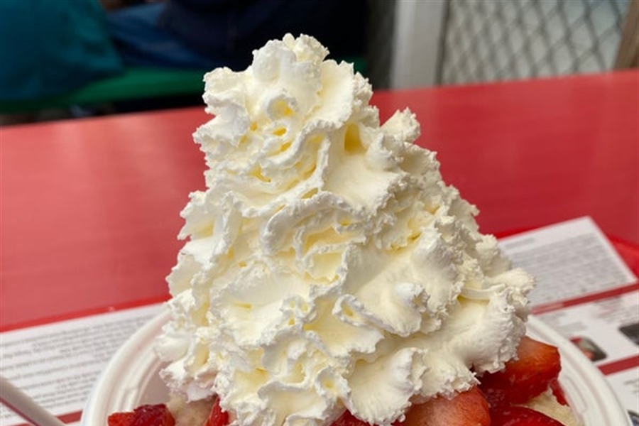 A Berry Sweet Tradition: Celebrating Teamwork with Florida’s Finest Strawberries