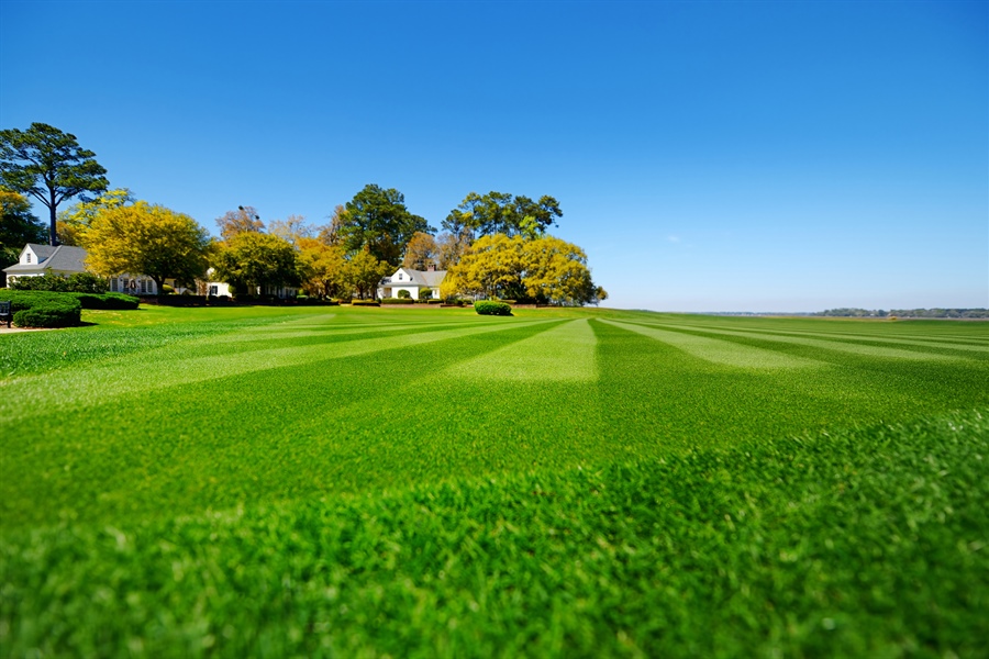 How to Choose a Slow Release Liquid Nitrogen Fertilizer for Turf