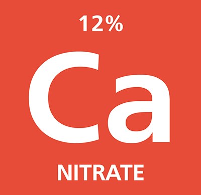 Ca Nitrate